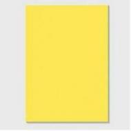 【精印A4】80g彩色复印纸 黄色 500张/单包